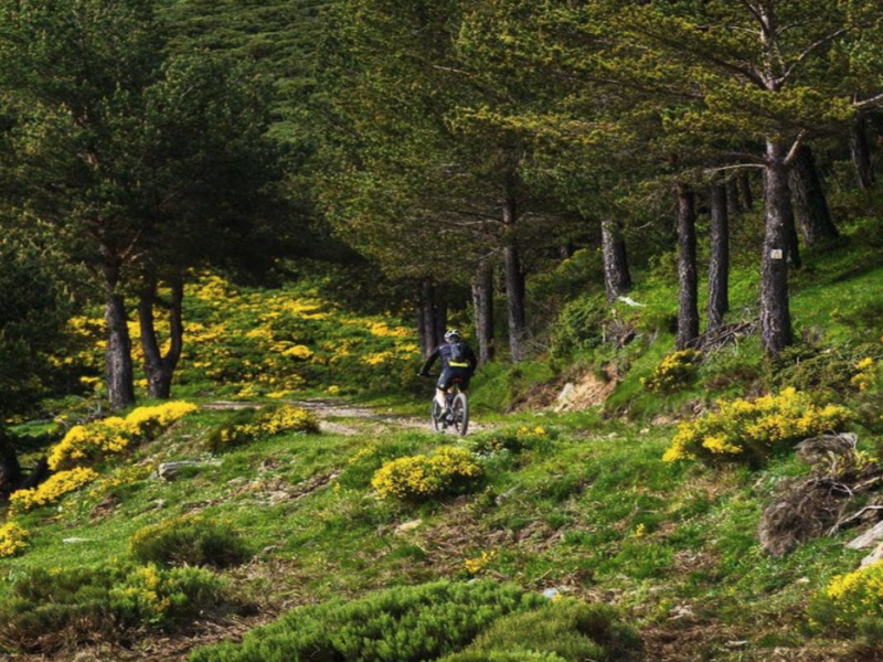 La Val dAran paraíso natural Eteva Escòla de Tecnics Esportius